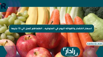 أسعار الخضار والفواكه اليوم في المنوفية.. الطماطم تصل إلى 15 جنيها